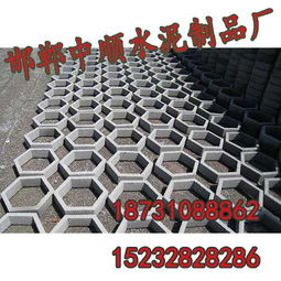 邯郸护坡砖 美观大方 中顺水泥制品
