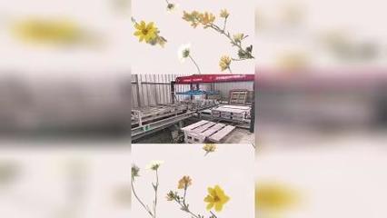 浙江水泥花砖机预制现场