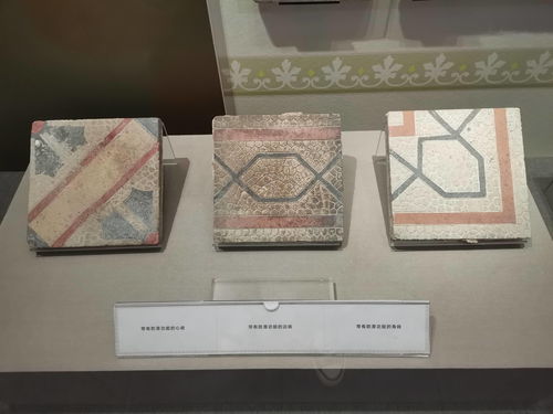 全国第一个花阶砖专题展开展 展出超过200种花阶砖样式