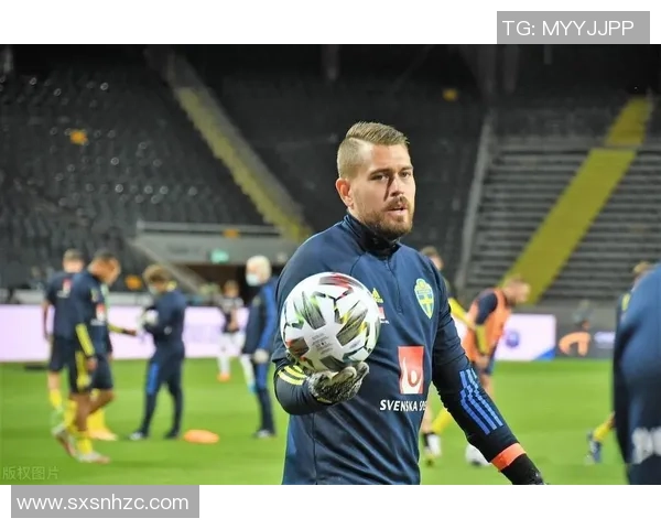 瑞典足球逆袭在即附加赛希望重燃北欧海盗梦未灭 瑞典足球逆袭在即附加赛希望重燃北欧海盗梦未灭