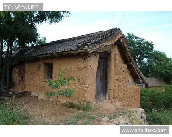 冬季转会期聚焦恩德里克里昂重建之路的清洗与复兴挑战 冬季转会期聚焦恩德里克里昂重建之路的清洗与复兴挑战